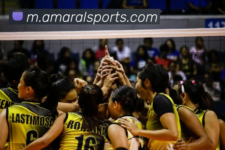 体育下注APP 高清赛事图